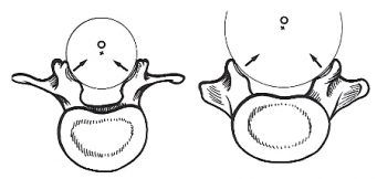 Lumbar Vertebral Column and General Anatomy - Alex Tiemes 3DMT