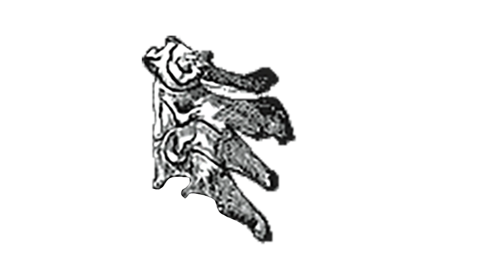 C0-C2